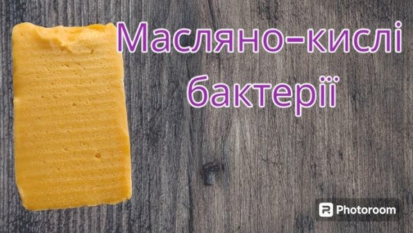 Масляно-кислі бактерії