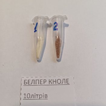 Белпер Кноле