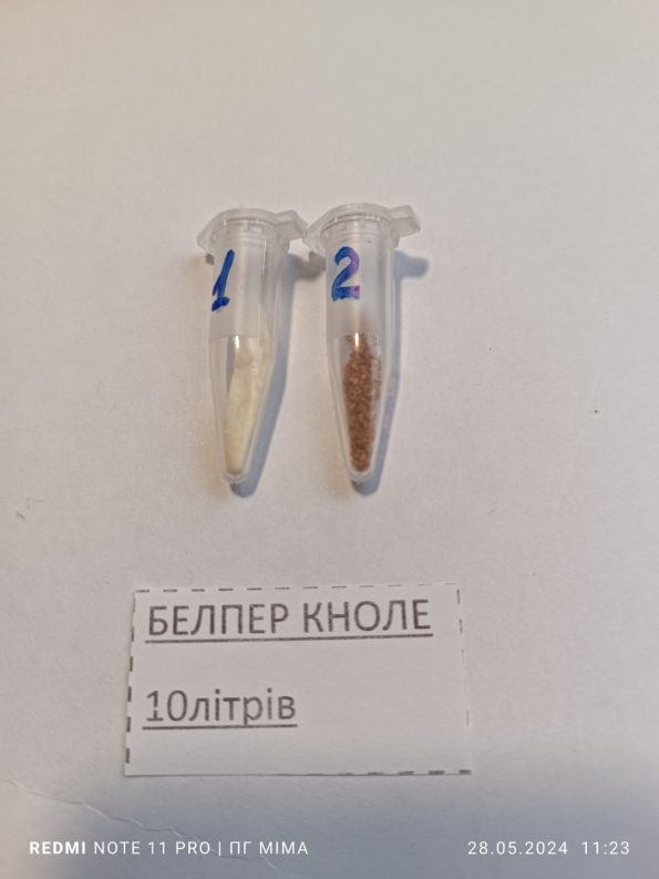 Белпер Кноле