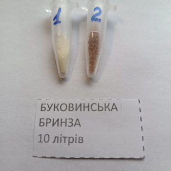 Бринза Буковинська
