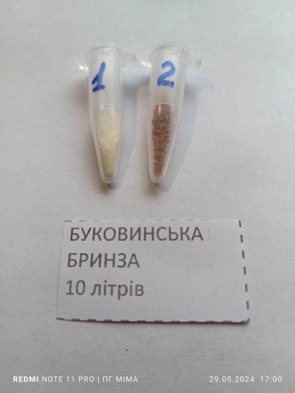 Бринза Буковинська