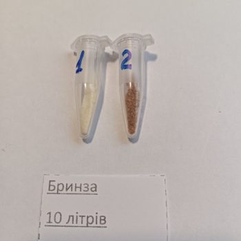 Бринза
