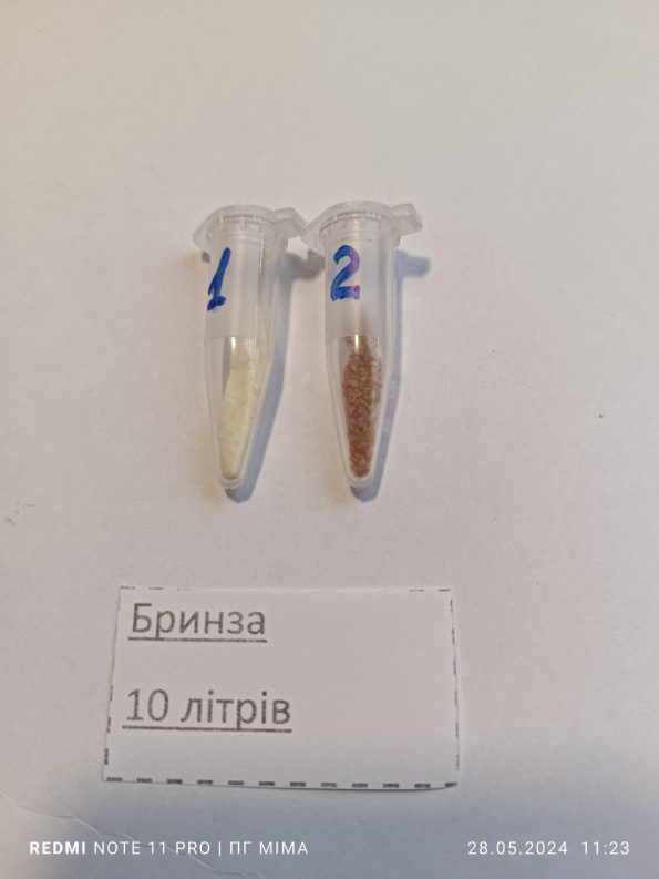 Бринза