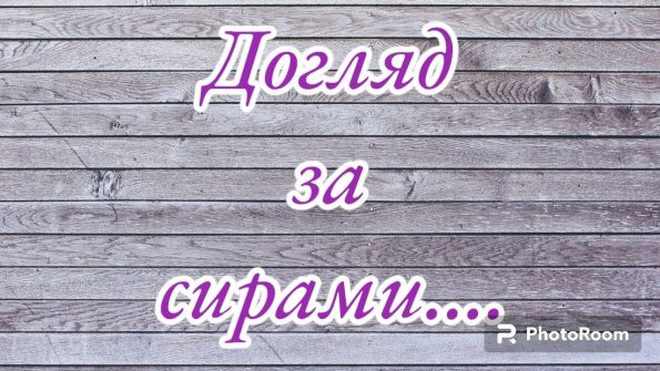 Догляд за сирами