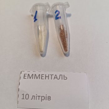 Емменталь