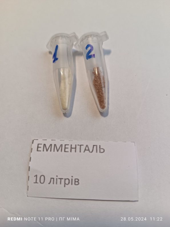 Емменталь