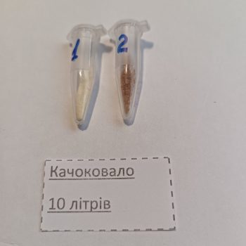 Качокавало