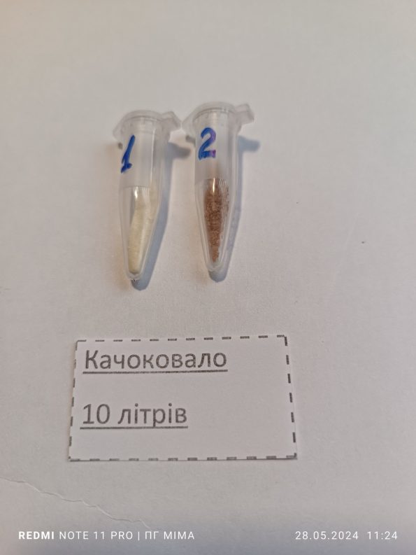 Качокавало
