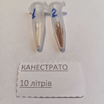Канестрато