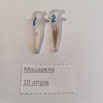 Моцарела