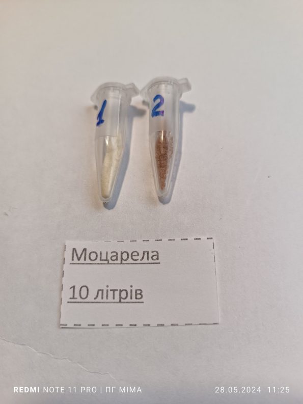 Моцарела