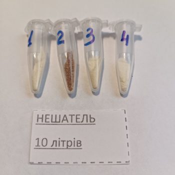 Нешатель