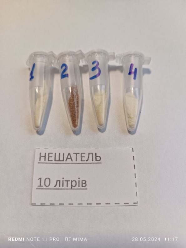 Нешатель