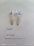 Панір