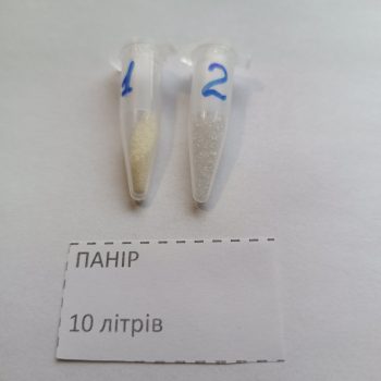 Панір
