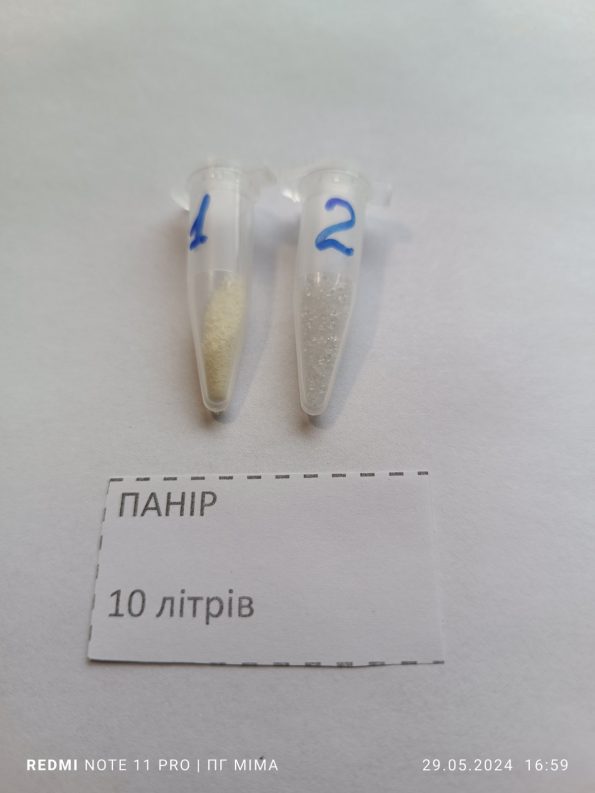 Панір