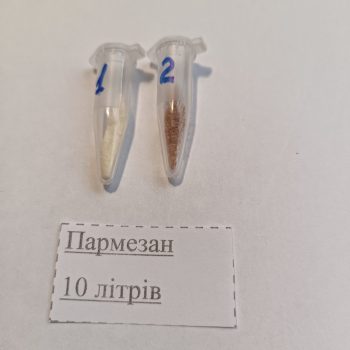 Пармезан