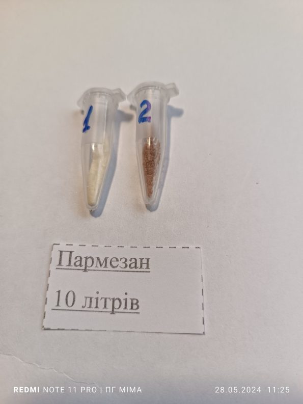 Пармезан