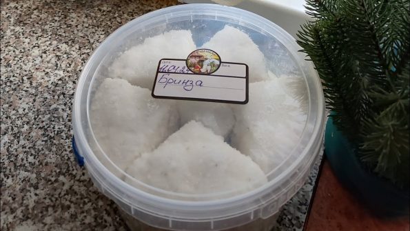 Бринза